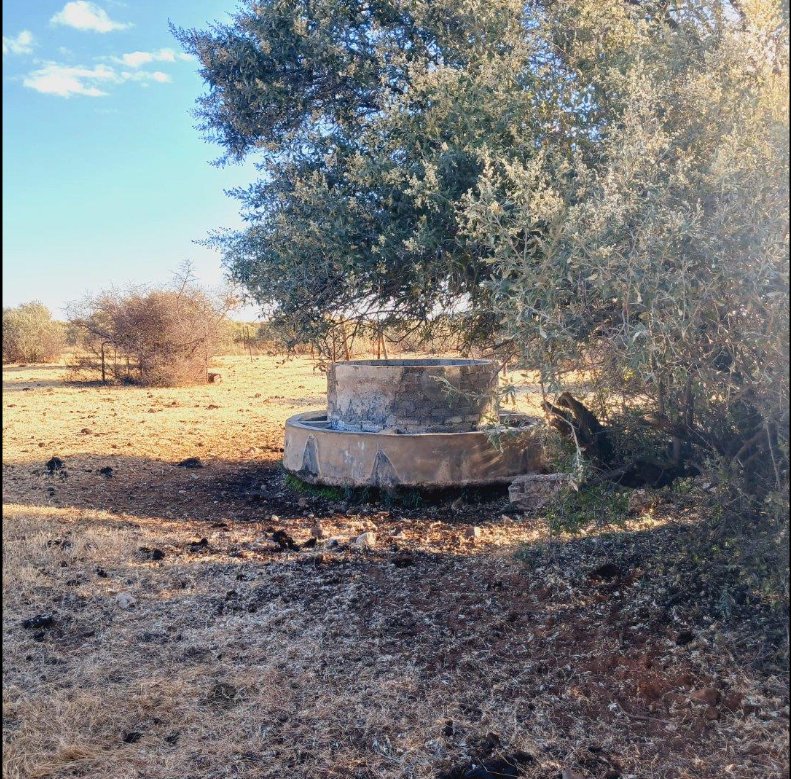 Commercial Property for Sale in Barkly West Rural Northern Cape